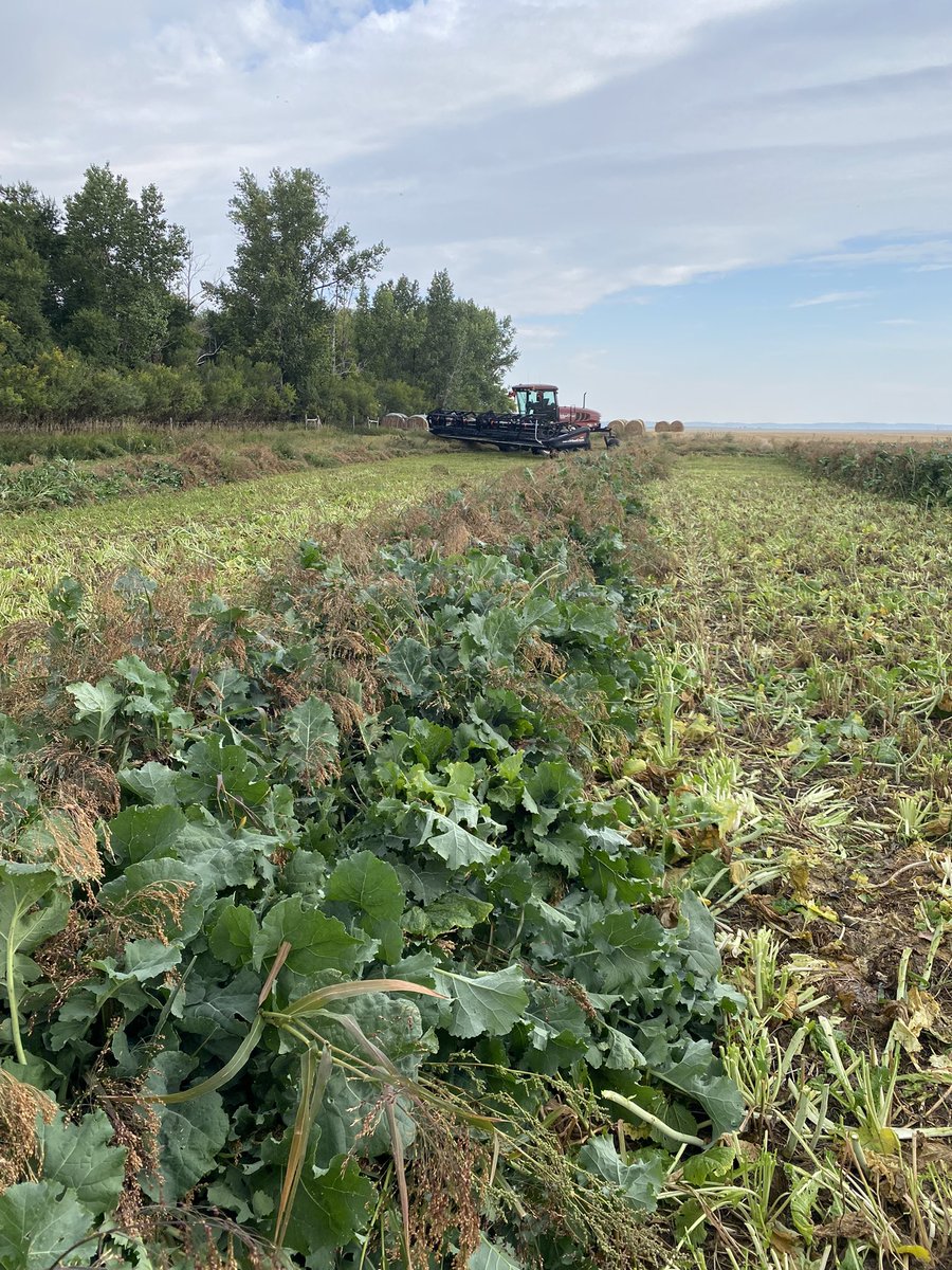 Mitchell Martel tweet media