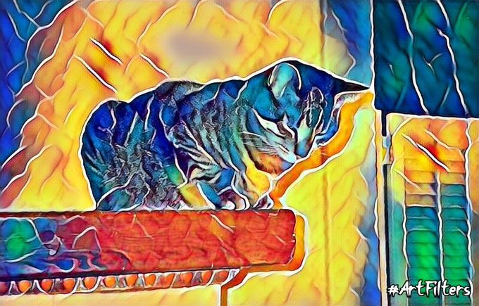 Craig S. C. Okajima tweet media