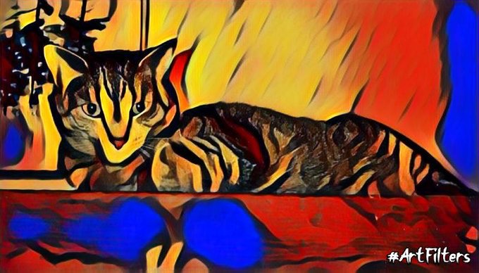 Craig S. C. Okajima tweet media