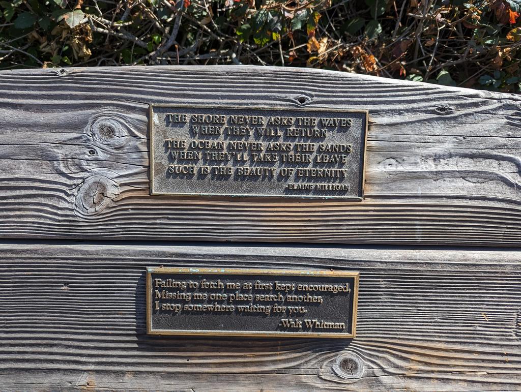 Mark C. Anderson (@montereymca) on Twitter photo 