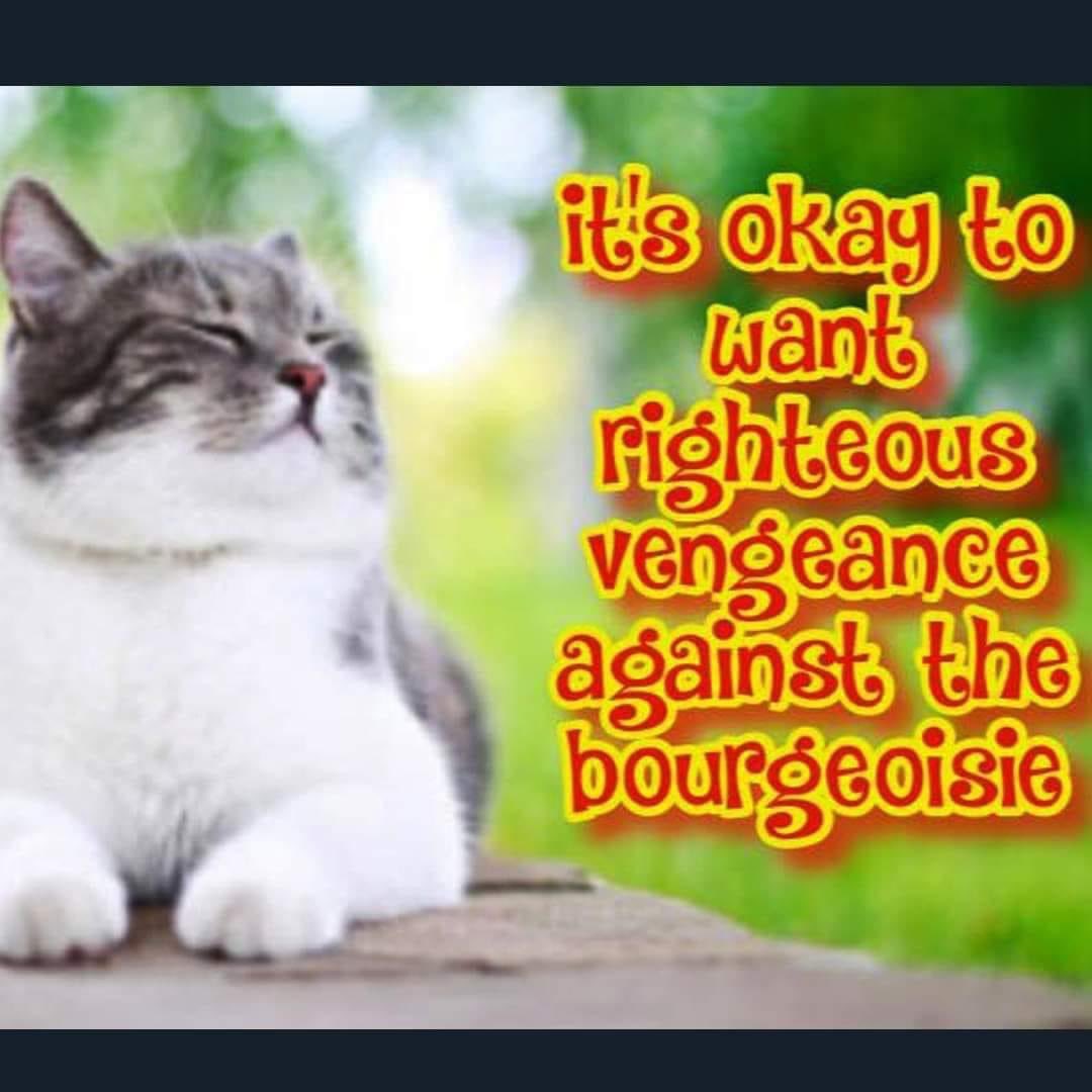 Anarchillect (@anarchillect) on Twitter photo 