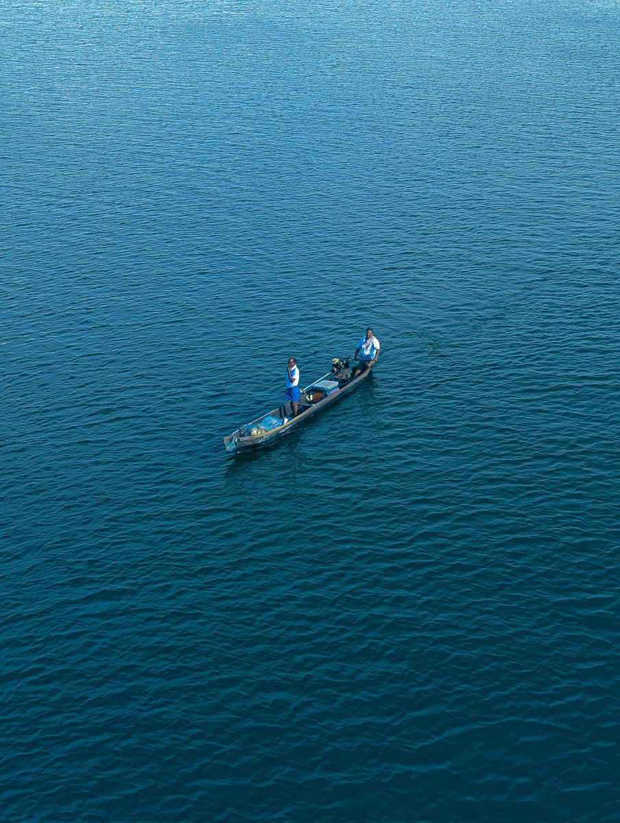 A B Veekshith tweet media