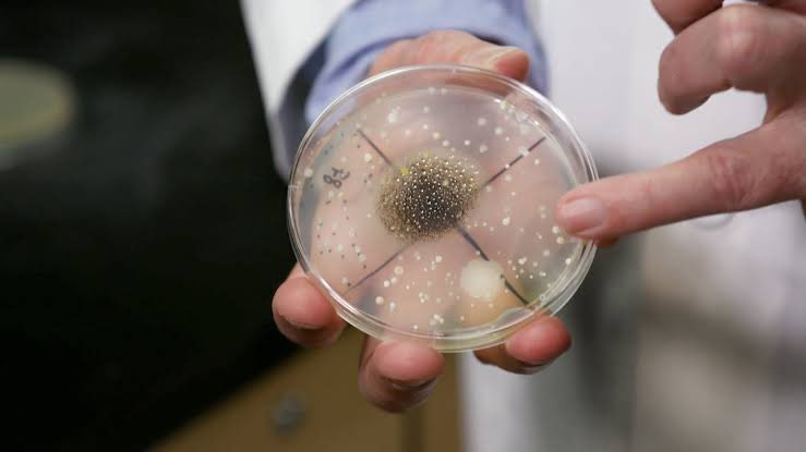 Ayman Alatas tweet media