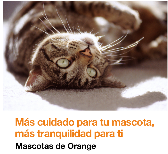 orange_es's tweet photo. 🐱 🐶 Con Mascotas de Orange, disfruta de Atención Televeterinaria sin esperas ni desplazamientos con la compra a plazos de comedero o bebedero inteligente desde solo 3,5€ /mes.

Más cuidado para tu mascota, más tranquilidad para ti https://t.co/ErDdxTOE6k https://t.co/S7SmPPR2mG