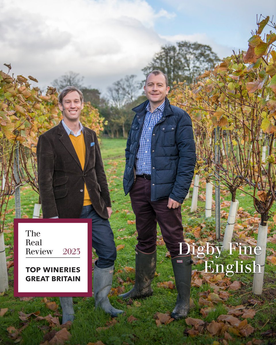 #TopWineriesofGreatBritain2023

26. Busi Jacobsohn Wine Estate <a href="/BusiJacobsohn/">Busi Jacobsohn Wine Estate</a>
27. Ambriel <a href="/Ambriel_UK/">Ambriel Sparkling</a> 
28. Davenport Vineyards 
29. Digby Fine English @<a href="/DigbyEnglish/">Digby Fine English</a> 

Discover the Top Wineries of Great Britain 2023!
🔗 therealreview.com/2023/09/06/top…