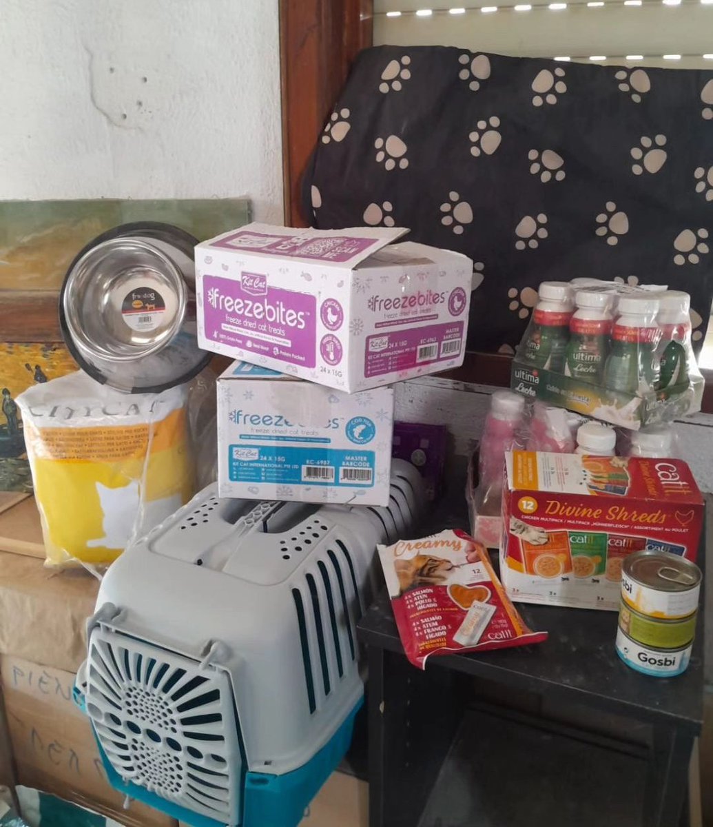 L'Aldea: Projecte Gat tweet media