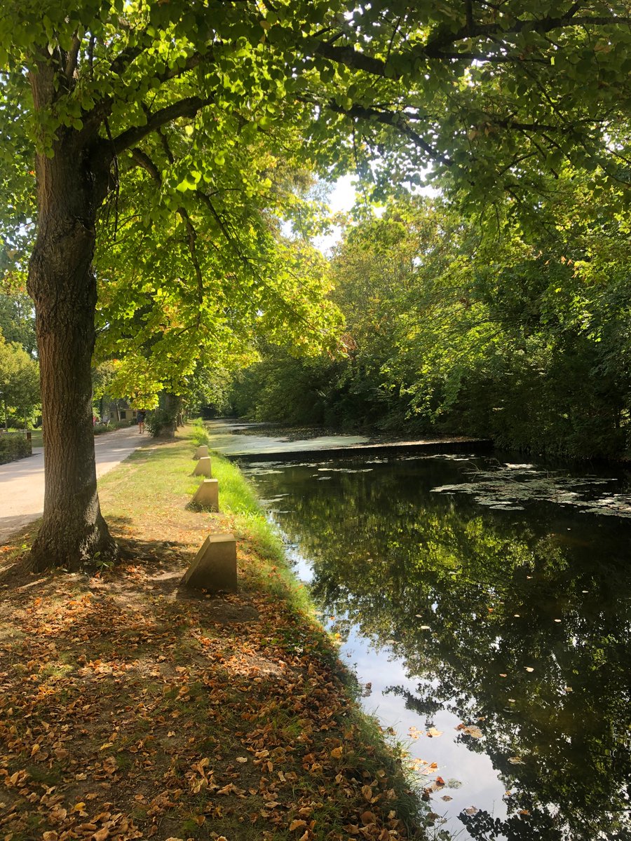 Paradis <a href="/royaumont/">Royaumont</a>