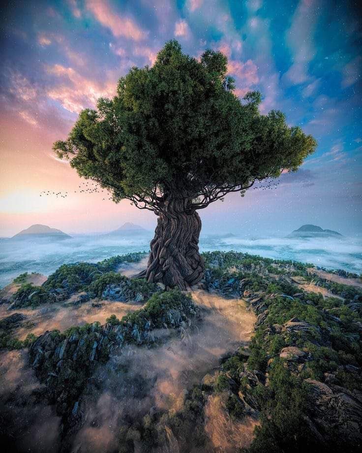 Iqrakhaliddd's tweet photo. We are living in a world in which nobody is free, in which hardly anybody is secure, in which it is almost impossible to be honest and to remain alive. ~George Orwell https://t.co/BrXKAgzygB