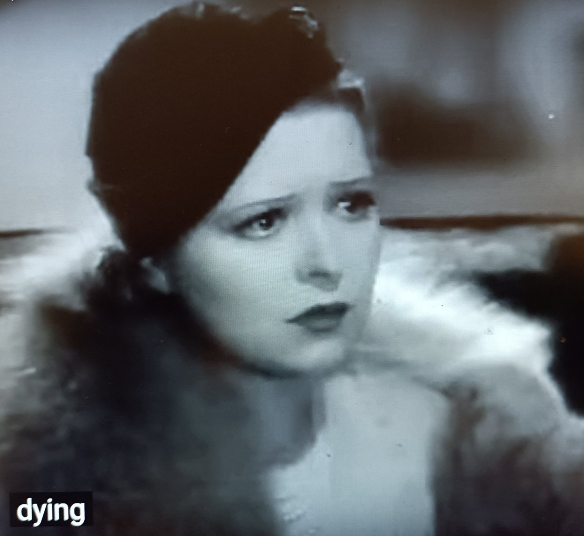 FramesRoaring's tweet photo. https://t.co/kfPqzyrowO