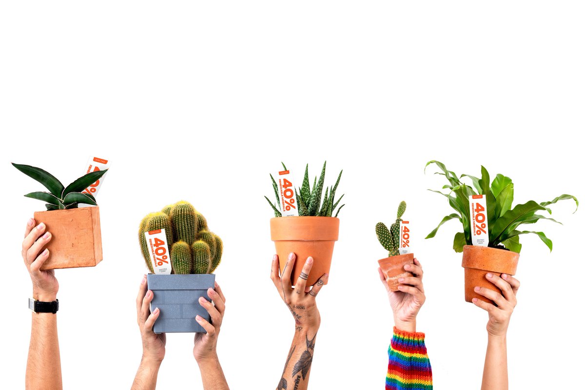 Synthogra tweet media