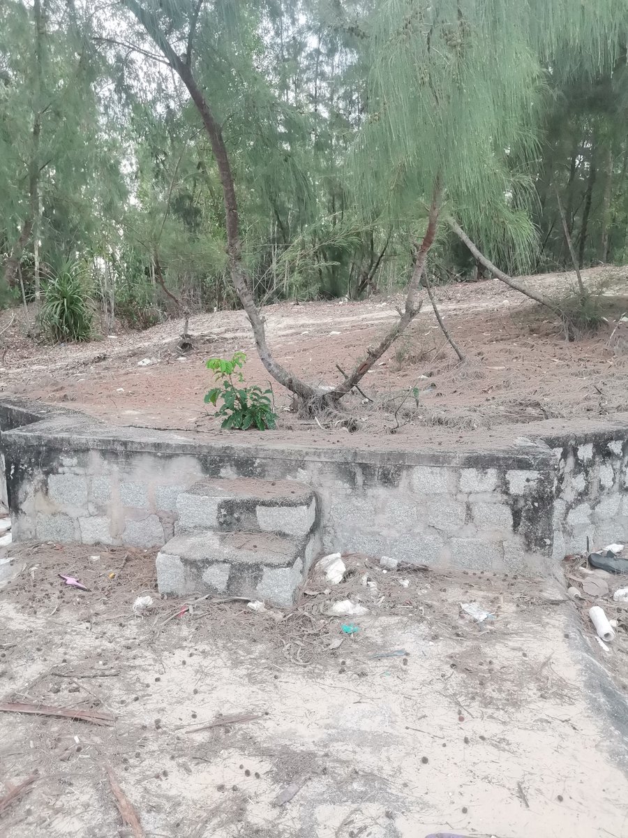 Tinh yeu sau dam nhu bien tham,