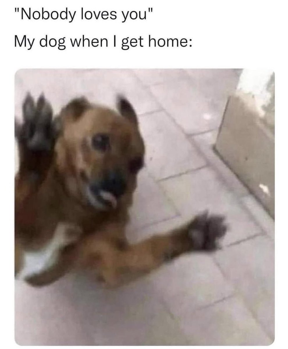 non aesthetic things (@picturesfoider) on Twitter photo 