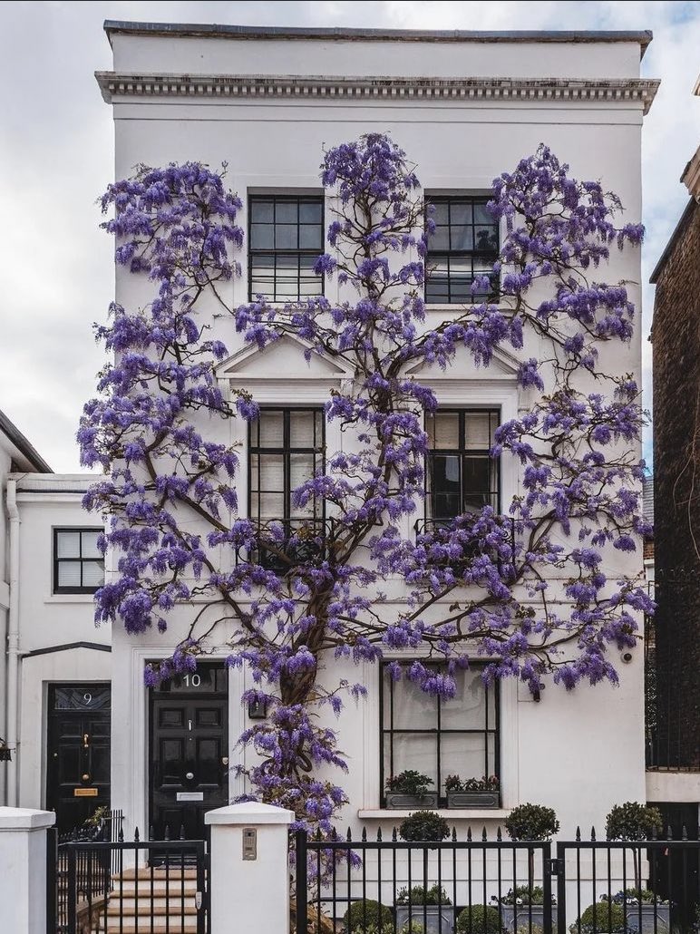 O kadar güzel ki…