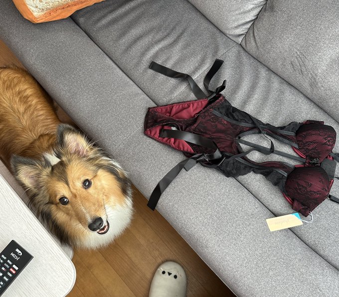 Twitterのコスプレ画像3