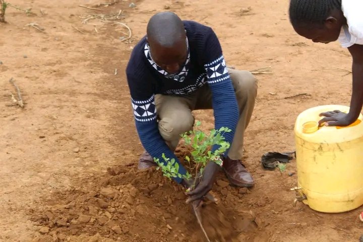 It was an inspiring and impactful event, where we planted trees and provided valuable climate education to the students. Through this initiative, we aimed to foster environmental awareness and empower the young generation to become climate champions. @NLinKenya @WilliamsRuto @UN