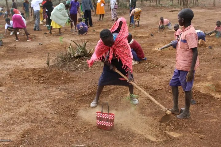 NetForCommDev's tweet photo. Yesterday was a momentous day as we successfully carried out a tree planting exercise&amp;climate education session at Kasiela Primary School in Mochongoi Ward,Baringo South Constituency,Baringo County.
@EndoroisWomen @ASBELKEMBOI7 @wambui_56 @FanisEshiwani @FAITHJE56892542 @HonTuya https://t.co/79keCU52Wh