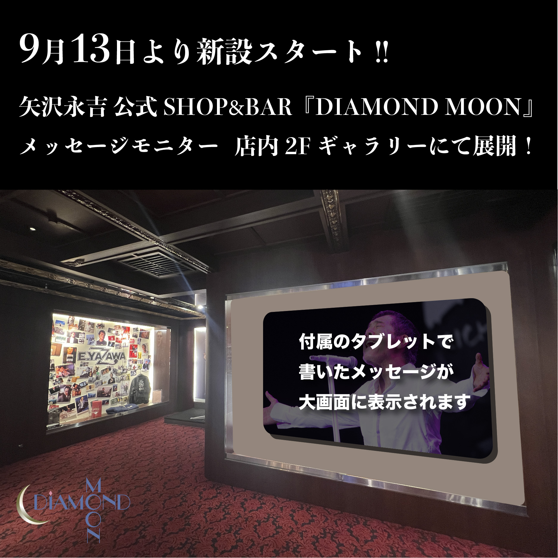 未使用】矢沢永吉 YAZAWA/ダイヤモンドムーン・DIAMOND MOON/皿