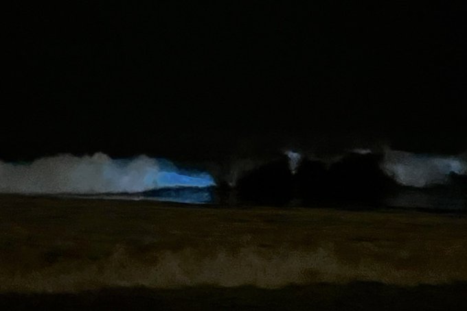 Spending my night with the BIOLUMINESCENCE!!!!!!!!! 😍😌🌊✨🌙🌌😍 https://t.co/ZMdio2lBAe<a href="/tag/solareclipse2024"class="tags"><span>#solareclipse2024</span></a>