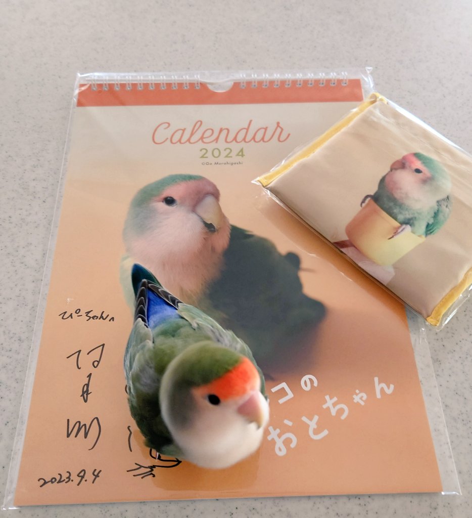 TenjinYs's tweet photo. 見た目はおとちゃん🥰
#インコのおとちゃんカレンダー https://t.co/ku4RQlD3jf