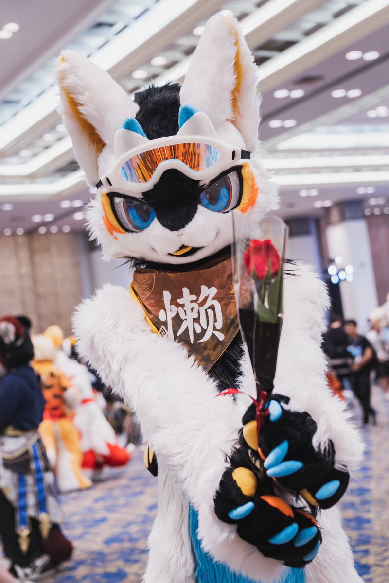 周日好～这朵小花花送给可爱的你～