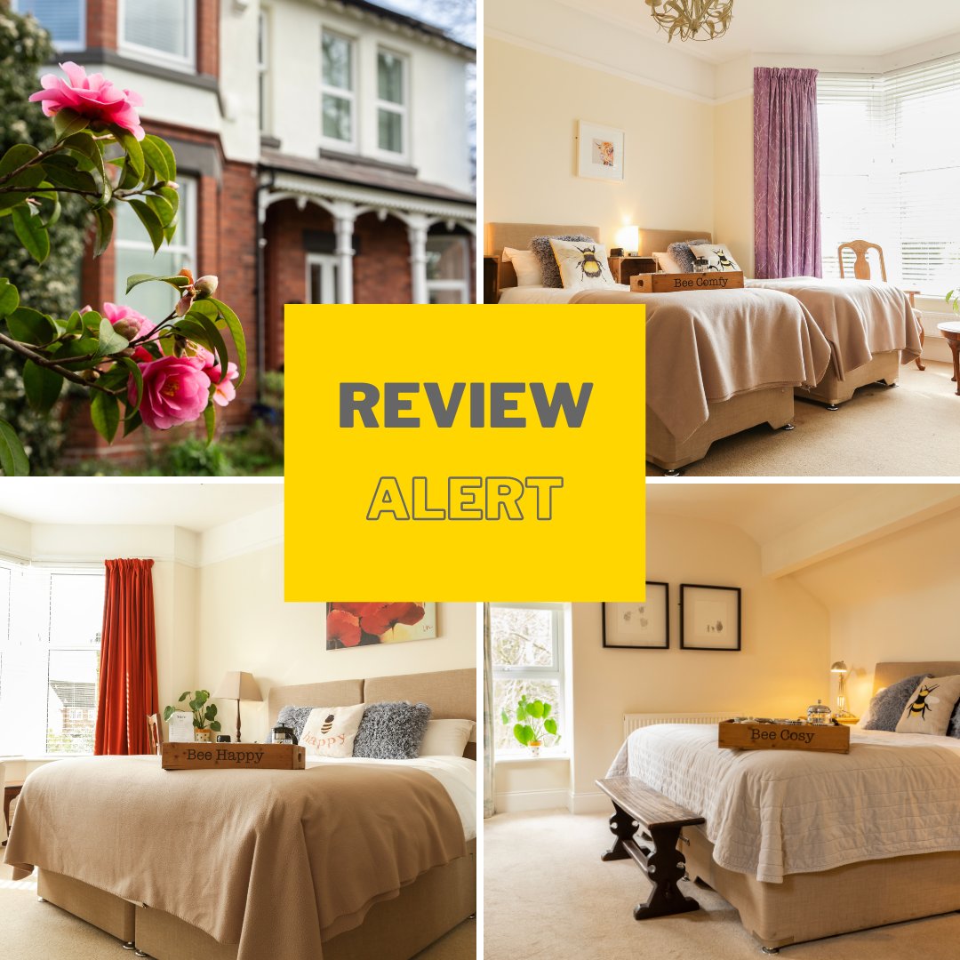 TheHiveat52's tweet image. From Fraser &amp;amp; Brenda's stay at The Hive at 52 to tips on what to look for when booking, ReviewsAreIn has all the scoop for a great stay!  Uncover local gems &amp;amp; learn from others' experiences - share your own &amp;amp; get the #ReviewTips you need 🤩 #BookDirect #LocalSpots