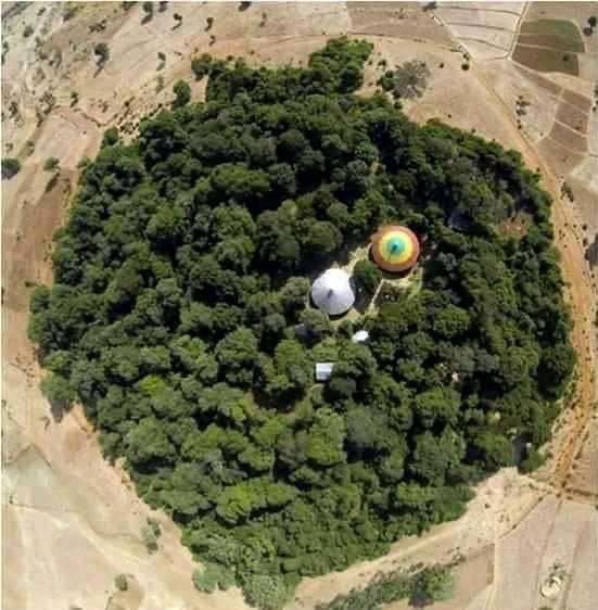 YKebedd's tweet image. #ኦርቶዶክስ

" አንቺ እናት ቤተክርስትያን መማፀኛ ማመስገኛ መፅናኛ ቤታችን የአብ የወልድ የመንፈፅ ቅዱስ ማደሪያው 365ቀን ለክርስቲያን ብቻ ሳይሆን ለሁሉ የሰው ልጅ ለሀገር ለዓለም ሰላም ደህንነት የሚፀለይብሽ የሚቀደስብሽ የታቦቱማደሪያ ነሽና ።"