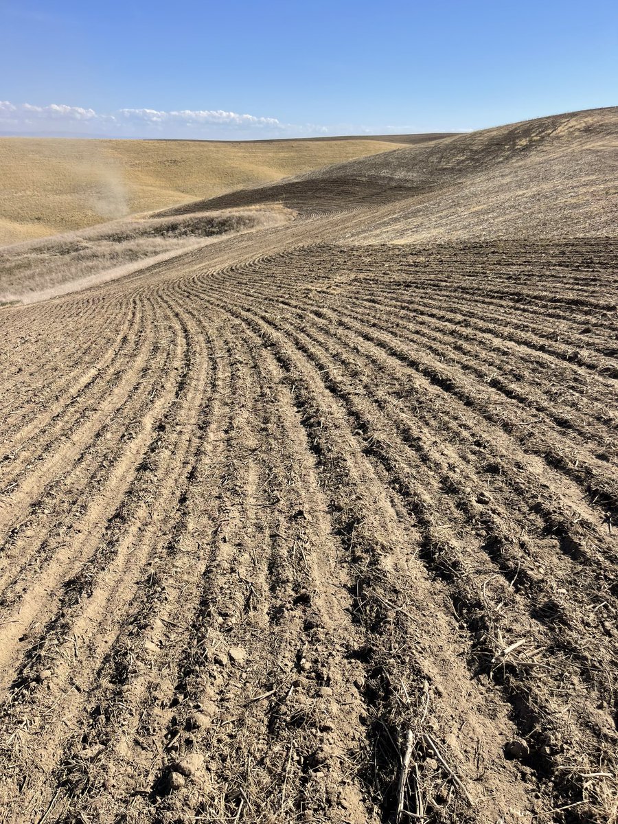 2024 dryland winter wheat going in the ground earlier than ever before. Let’s give it hell and hope for the best.