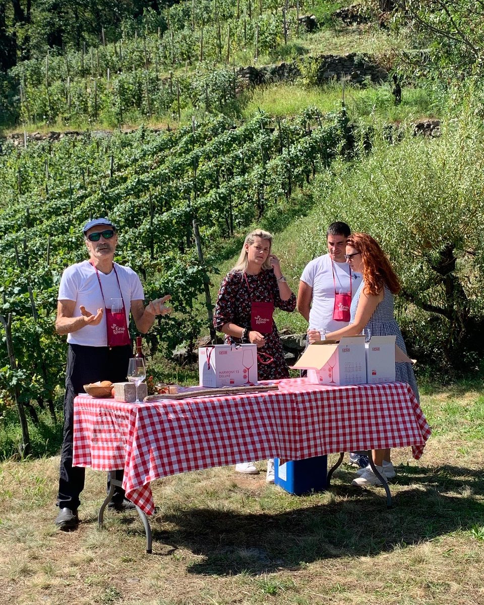 missaglia_sara's tweet photo. 🧺Il pic-chic a Santa Perpetua per @EroicoRosso a Tirano non è un picnic qualunque, anche se i cesti e i cuscini sull’erba non mancano.
.
🍃Il pic-chic è un modo per entrare in connessione con la natura, con la storia e con la viticoltura.
.
#eroicorosso #picchic https://t.co/XUe9W9orCY