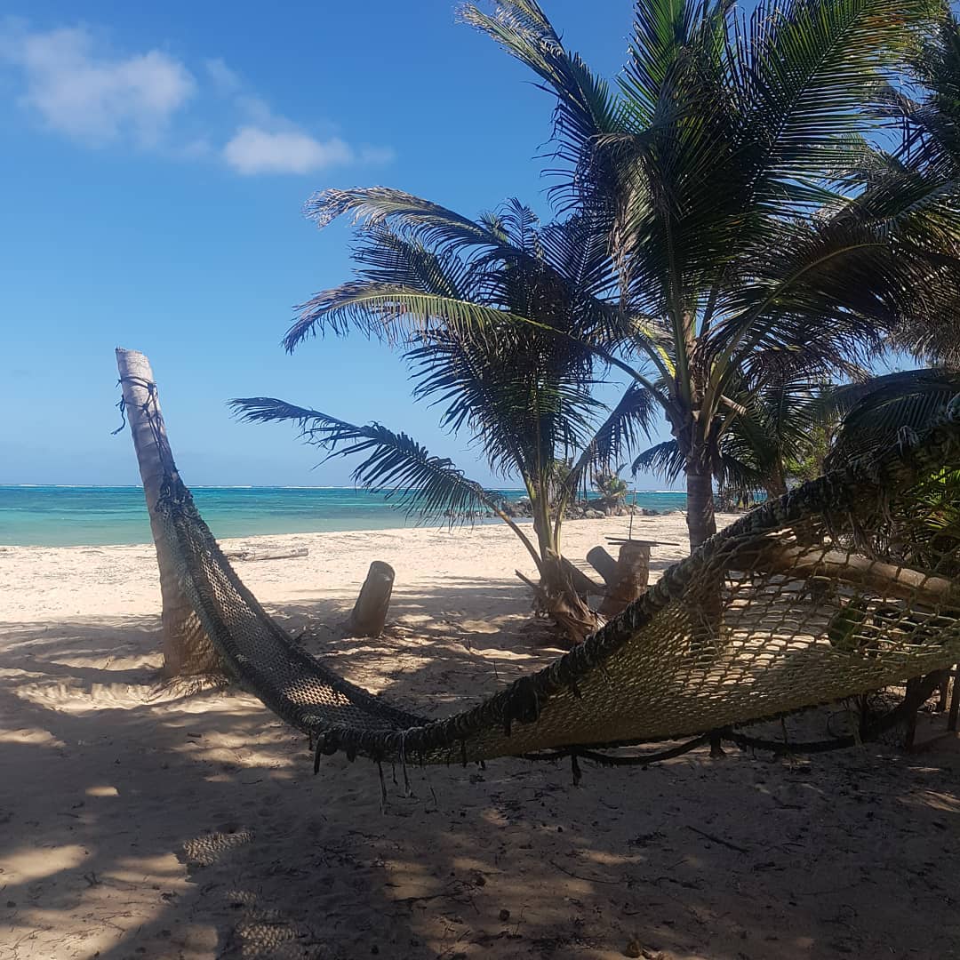 Jutta Streicher 🕊️ tweet media