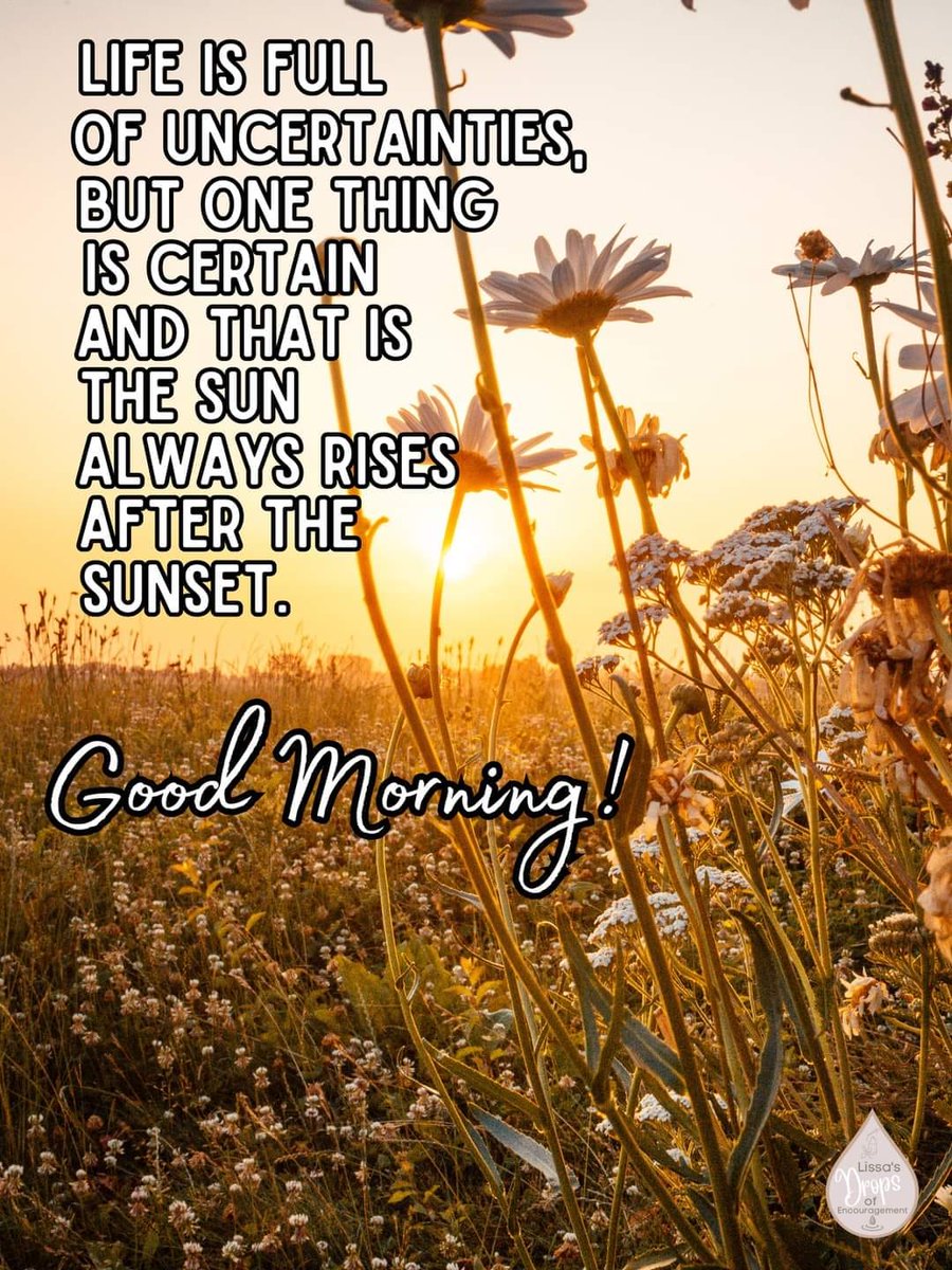 Enjoy a peaceful Sunday 🌻🌾