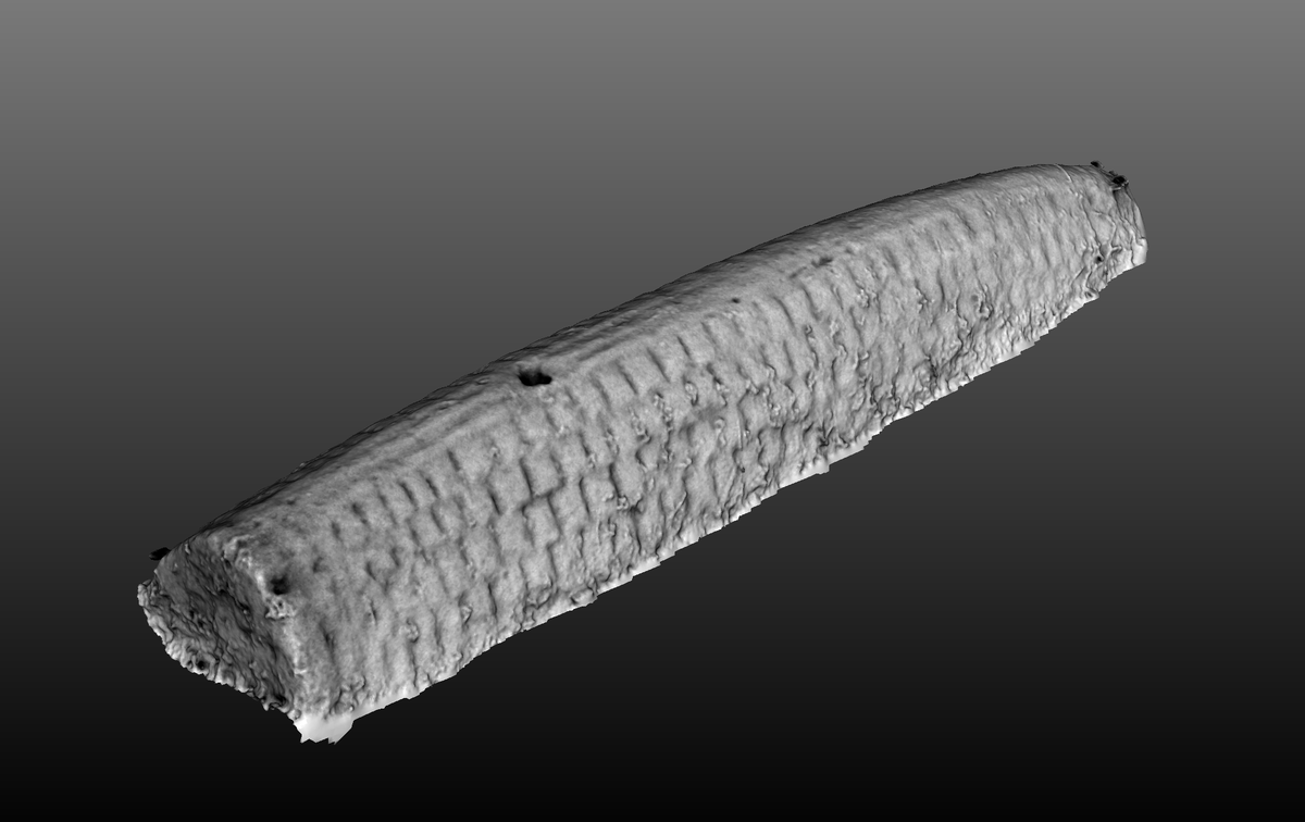 archaeoptics3d's tweet photo. For #StandingStoneSunday, a lying-down stone. This is the Tullieallan #hogback found in the picturesque Keith of Tullieallan mausoleum grounds. There are a lot of splendid memento mori gravestones as well.... #earlymediaeval #viking #3d #photogrammetry https://t.co/TJHzzAq1Sm