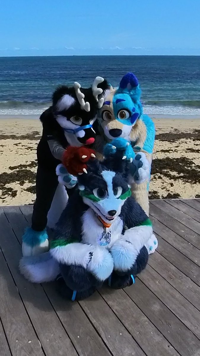 FluxPup_'s tweet photo. Beach time at WAFF’23 https://t.co/bmxsHiklQ4