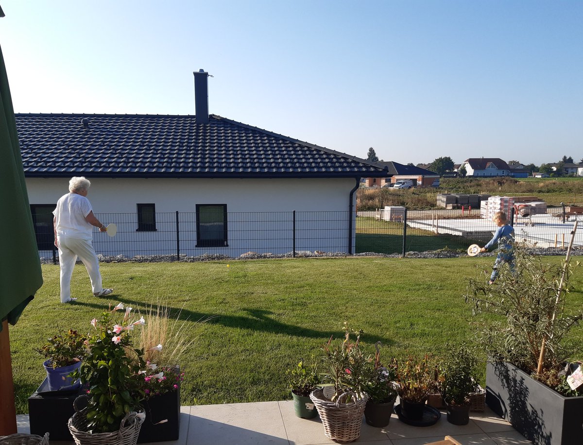 Zebra_auf_Abwegen tweet media