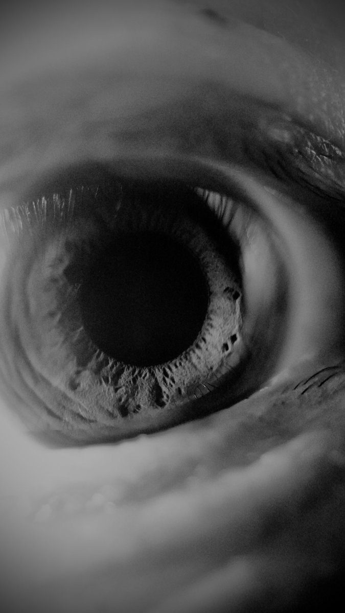 森準人 / Hayato Mori tweet media