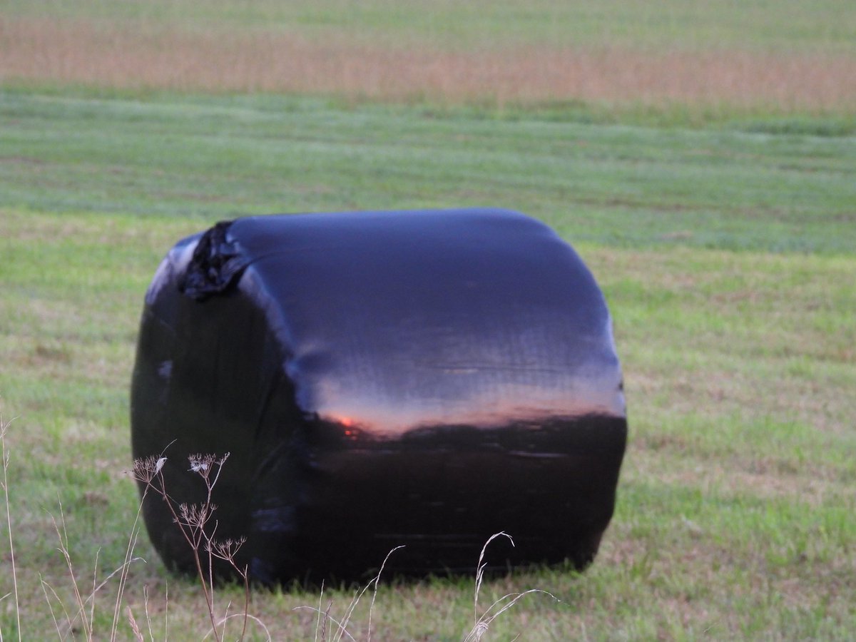An ordinary bale but with this morning’s sunrise reflected in the black plastic. Is this art? #art Is there a poem in it @Concordmoose ?!