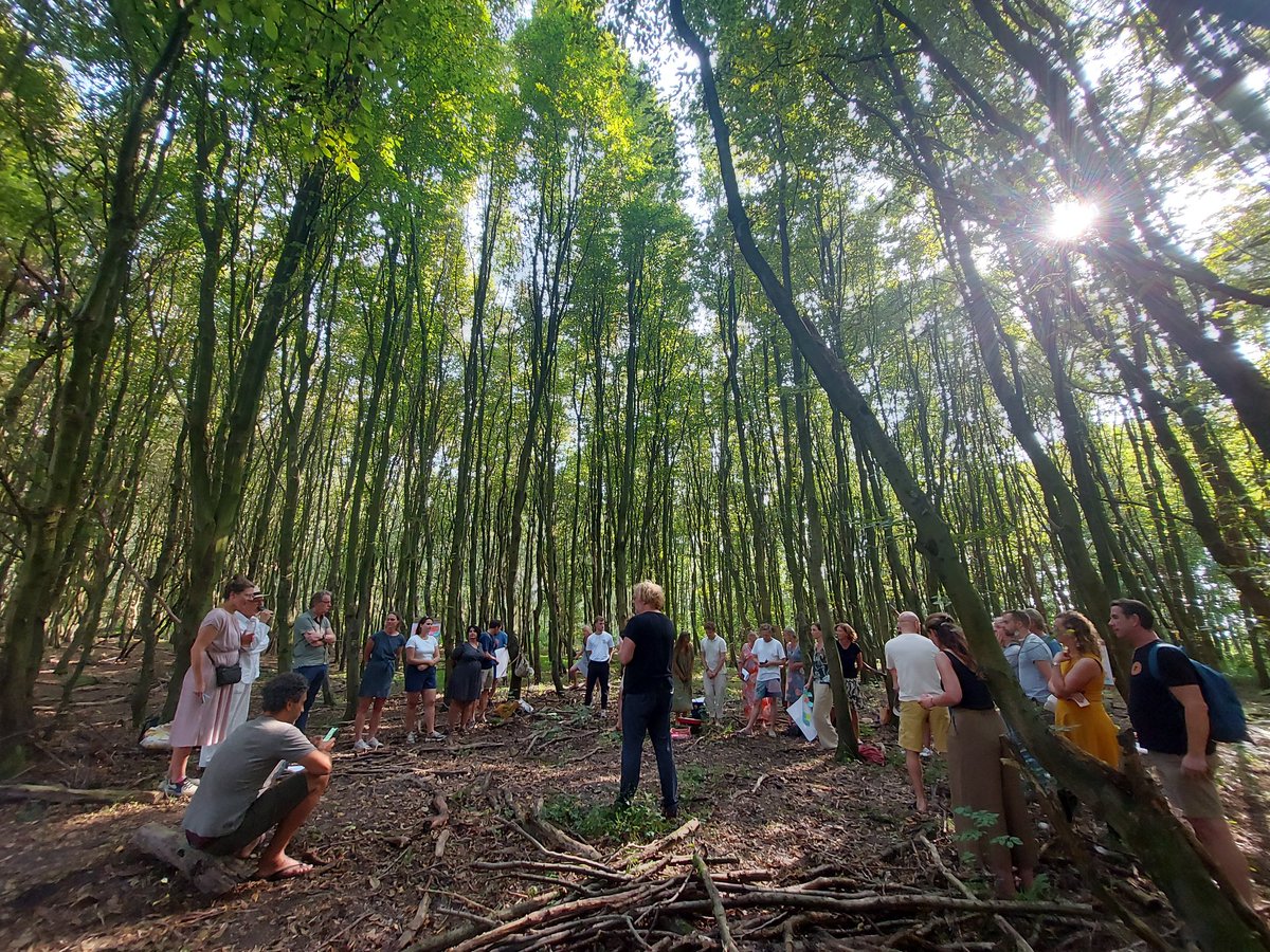 meta knol tweet media