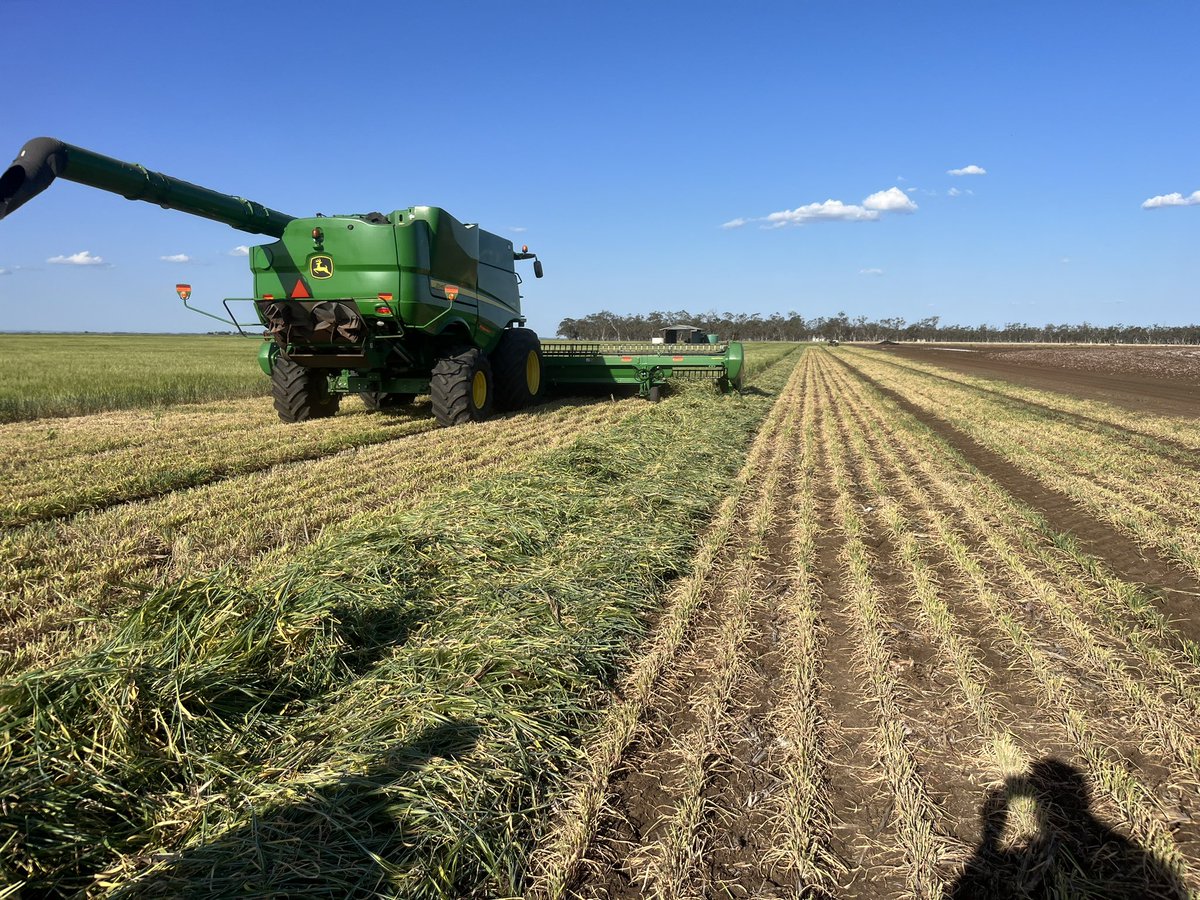 Ben Rasmussen tweet media