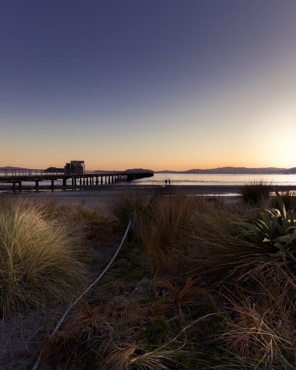 Haesum Ali 👷‍♂️📸 tweet media