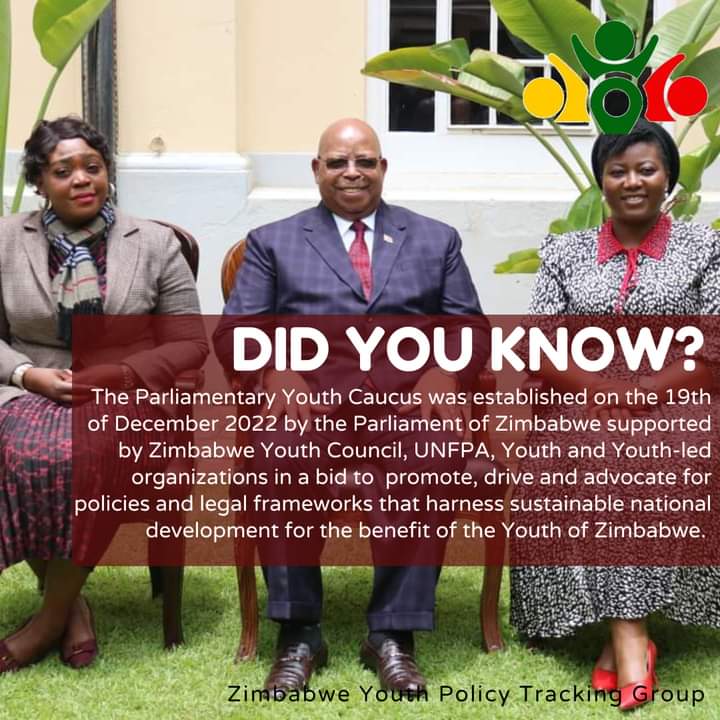 YouthTracking's tweet photo. Youth engagement in policy formulation is a vital component of a prosperous Zim🇿🇼. We are committed to continuously work with the Parliamentary Youth Caucus &amp; @ParliamentofZim Portfolio Committee on Youth to amplify youth voices &amp; promote formulation of youth-inclusive policies. https://t.co/TZReUE2NdR