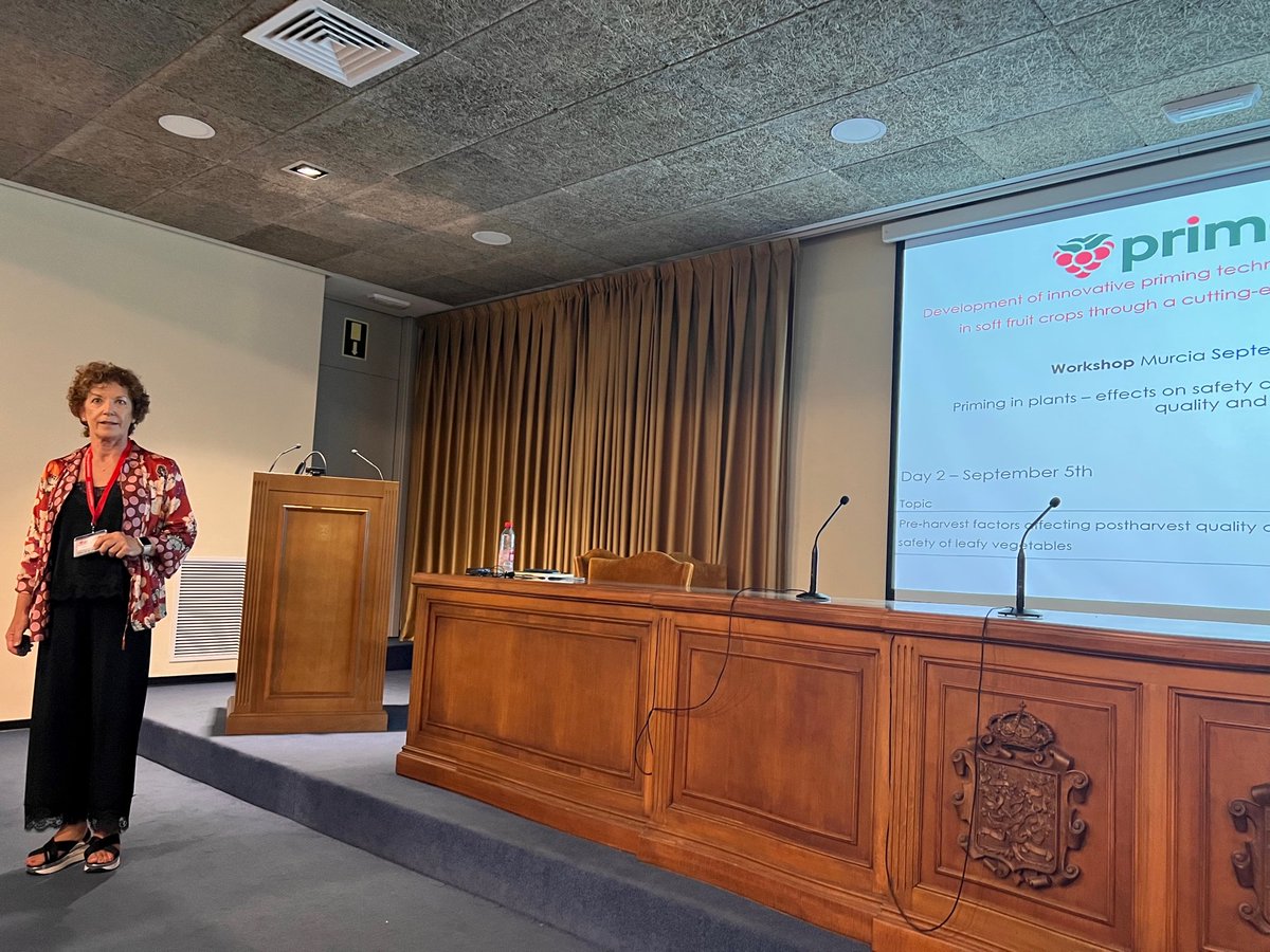 GManganaris's tweet photo. @PrimesoftE training workshop 
Organizer: @NutriBioMet_Labt,@CEBAS_CSIC
Title: The effects of #plant #priming on #phytochemicals relevant for #quality and #health   

Day 2 (lectures)  

@DAMF1970 
Preharvest treatments affecting phytochemical composition

@DanielValero64
Polyamines to enhance desirable phytochemicals for quality and health

Dr. Maria Isabel Gil Muñoz
Postharvest technologies affecting the phytochemical composition of fresh fruit

Dr. Francisco Tomás-Barberán
Fruit processing effects on food phytochemicals. Identification of the potential effects of different treatments on quality, phytochemicals metabolism and function