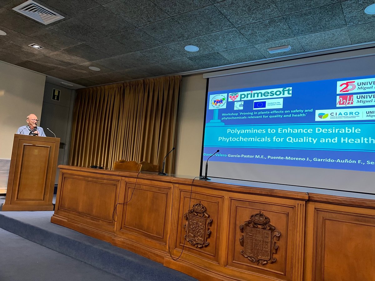 GManganaris's tweet photo. @PrimesoftE training workshop 
Organizer: @NutriBioMet_Labt,@CEBAS_CSIC
Title: The effects of #plant #priming on #phytochemicals relevant for #quality and #health   

Day 2 (lectures)  

@DAMF1970 
Preharvest treatments affecting phytochemical composition

@DanielValero64
Polyamines to enhance desirable phytochemicals for quality and health

Dr. Maria Isabel Gil Muñoz
Postharvest technologies affecting the phytochemical composition of fresh fruit

Dr. Francisco Tomás-Barberán
Fruit processing effects on food phytochemicals. Identification of the potential effects of different treatments on quality, phytochemicals metabolism and function