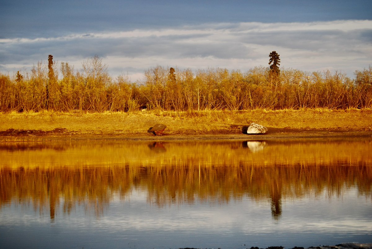 meiganalua's tweet photo. The last of the ice is melting
#KuskokwinRiver #Aniak #Alaska
#hacerfotos   #ThePhotoHour #StormHour #SnowHour https://t.co/dRcK3lJzg5