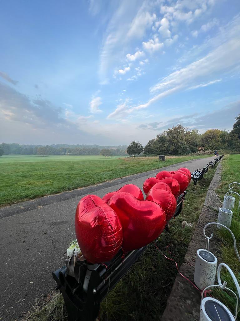 Frances Molloy tweet media