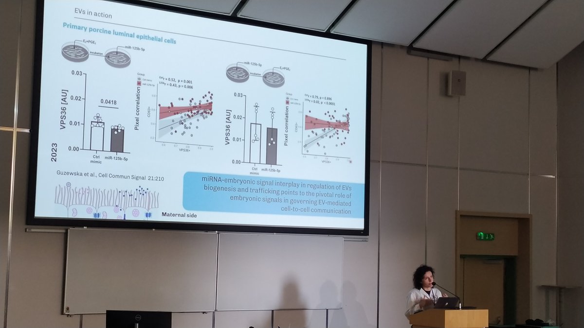 KoledovaZuzana's tweet photo. The last day of the 3rd @V4Sdb meeting in Warsaw  🇵🇱starts strong with the invited talk of Monika Kaczmarek from @PANOlsztyn on the role of #extracellularvesicles in early #pregnancy. https://t.co/1PwWWnwYEW