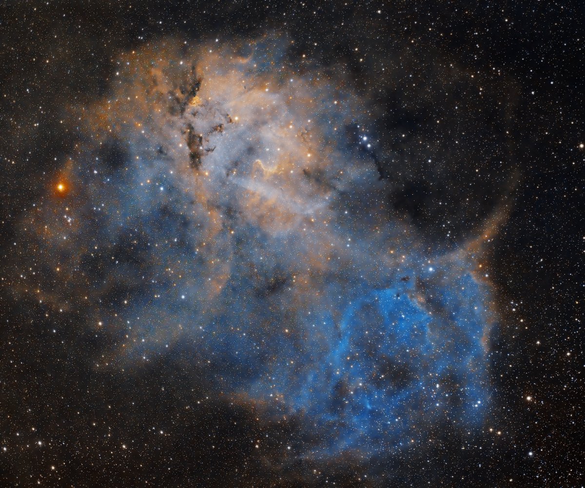 astrofineart's tweet photo. 🦁The Lion Nebula🦁

in narrow band
#Lion #Space #universe #nebula #photography https://t.co/NVJP34QHLs
