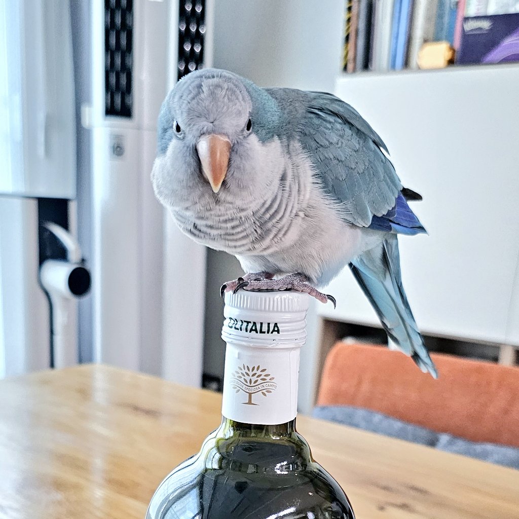 올리브유의 요정