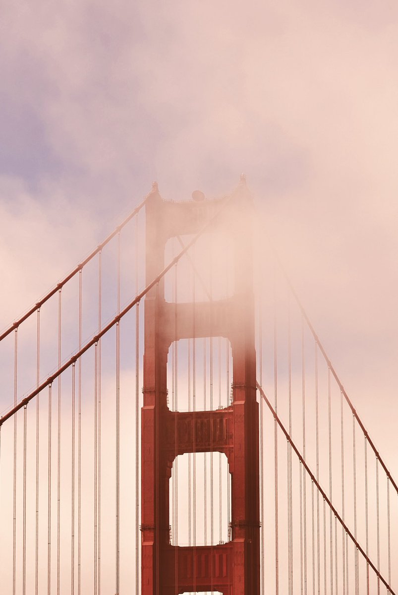 Thomas Stamey (@thomasstamey) on Twitter photo 