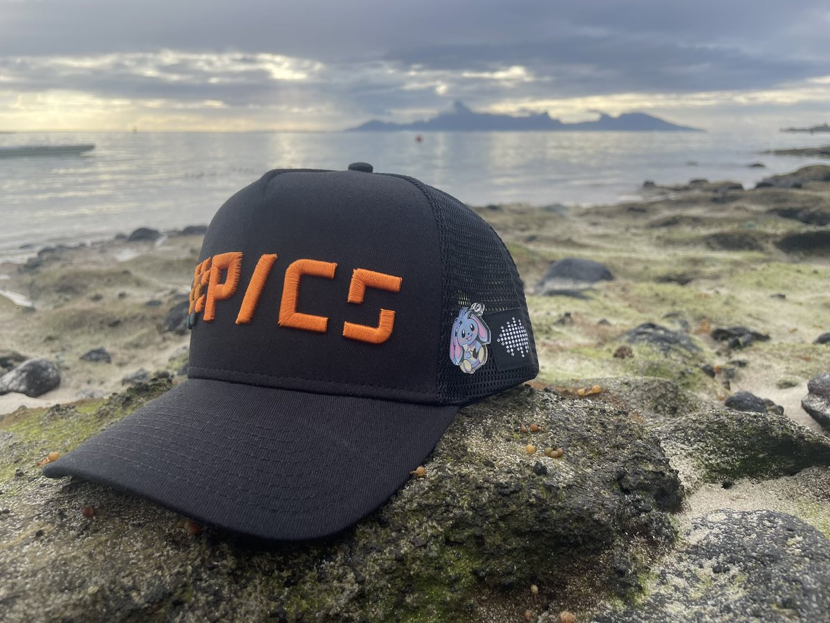 Gm ! Ce matin, j’ai reçu ce magnifique couvre-chef de la part d’un dino bleu appelé <a href="/TCryptomonnaies/">Hellmouth Banner - WEN #PICS2 SER ?</a> 🦖🧢 

Il m’a parlé d’un truc, le <a href="/JoinThePICS/">Polynesian Islands Crypto Summit 22-23-24 mai 2026</a>, me semble t-il mais pas sûr que vous connaissiez ! Bref, je ne peux rien dire enfin si : ça promet une édition historique ! #PICS2
