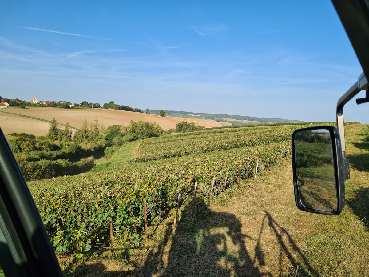 benoit51390's tweet photo. Brossage terminé dans la vallée (de l'Ardre) plus que 10 ares à #Vrigny et place au montage de l'effeuilleuse, #PouPoumPidou
#Champagne
📍#Lhéry
📌#LesMonets
🍇#Meunier https://t.co/Ieq7tiNO5D