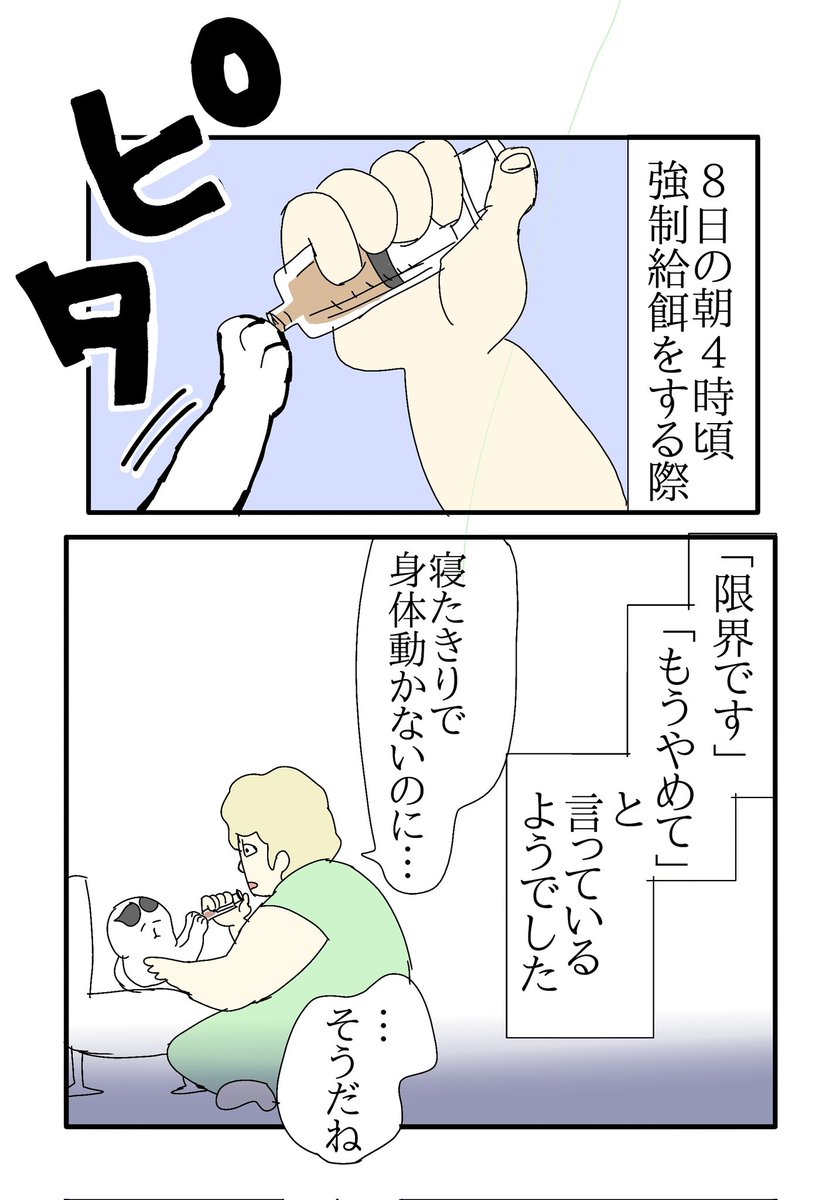 ajimaruzenzai's tweet photo. 9月8日午前11時40分頃
タマちゃんが永眠いたしました
享年14歳でした
可愛がってくださった方々、
愛してくださってありがとうございました
（1/3） https://t.co/vYiQGoCZ3N